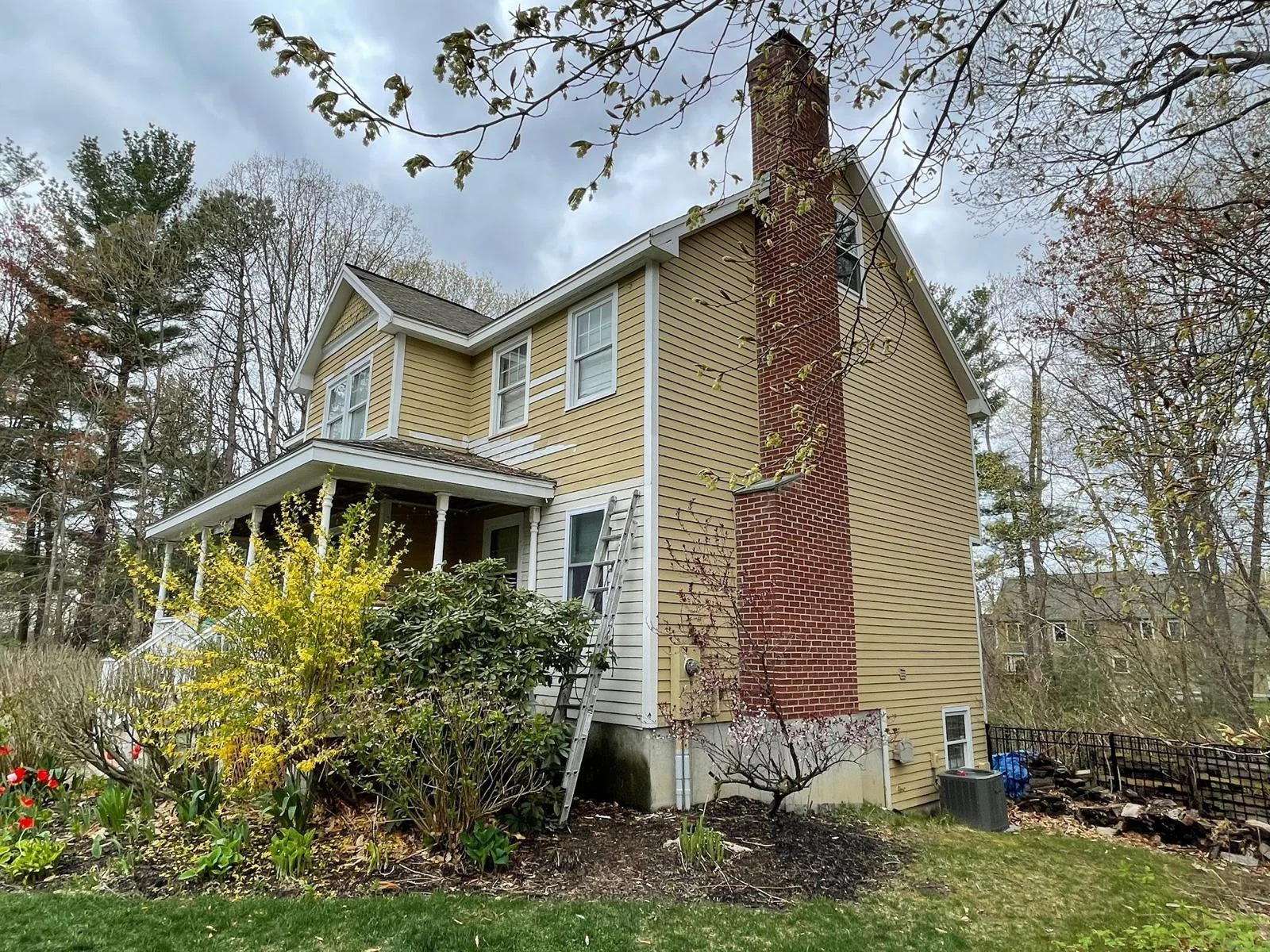 Siding Restoration #1